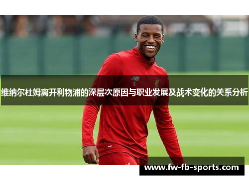 维纳尔杜姆离开利物浦的深层次原因与职业发展及战术变化的关系分析 维纳尔杜姆离开利物浦的深层次原因与职业发展及战术变化的关系分析