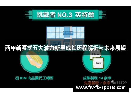 西甲新赛季五大潜力新星成长历程解析与未来展望