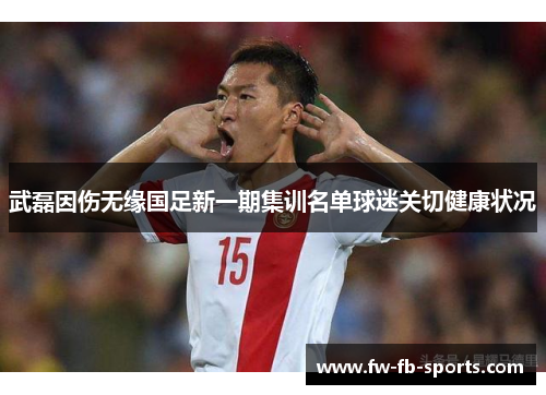 武磊因伤无缘国足新一期集训名单球迷关切健康状况